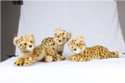 141